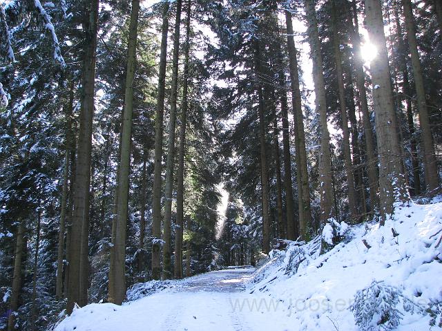 Winterspaziergang.JPG