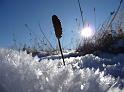 Winterfrost