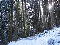 Winterspaziergang
